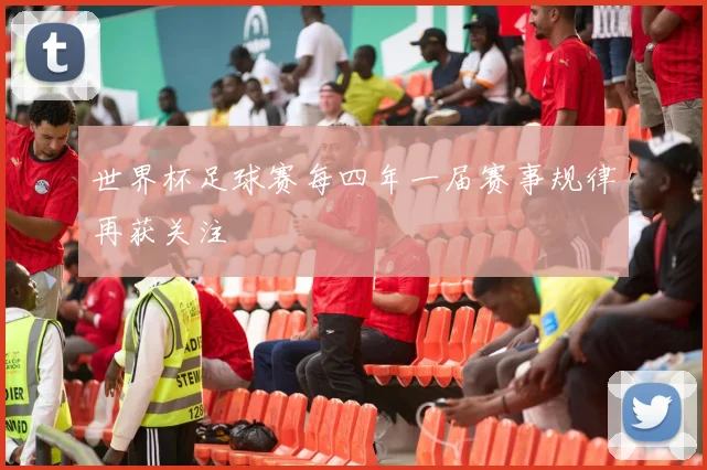 世界杯足球赛每四年一届赛事规律再获关注